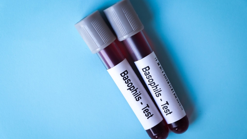 Các thành phần trong công thức máu WBC