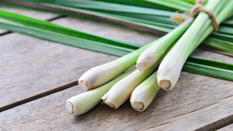 Công thức thải độc gan bằng chanh sả gừng hiệu quả 2