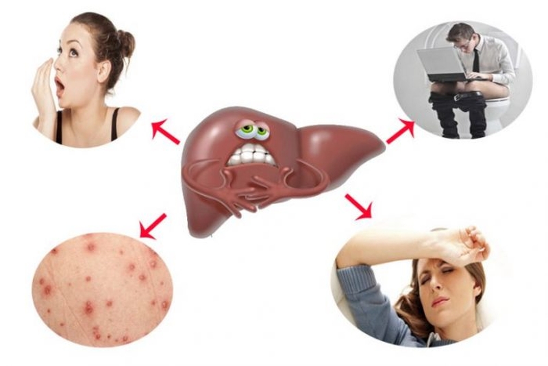 Chúng ta cần phải giải độc gan thường xuyên để bảo vệ lá gan và sức khỏe của mình