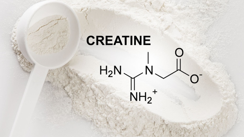 Creatine là gì? Cách sử dụng creatine hiệu quả nhất 1