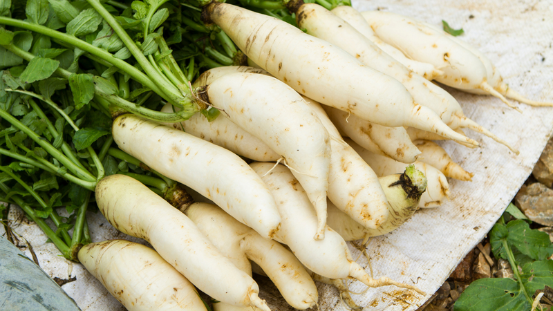 cu-cai-an-co-tot-cho-suc-khoe-khong 1