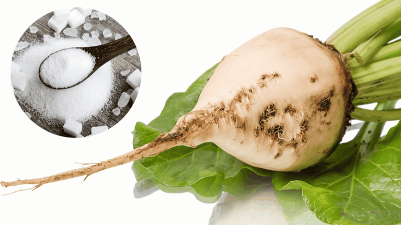 Củ cải đường làm đường có tốt cho sức khỏe không? 2
