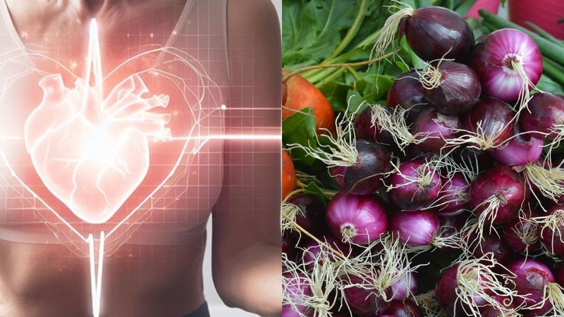 Củ hành hương: Tác dụng, lưu ý khi dùng! 2