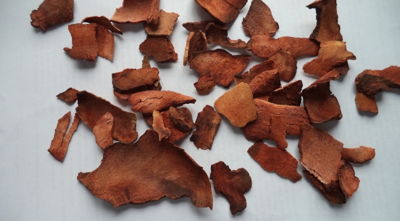 Một số bài thuốc chữa bệnh từ củ khúc khắc