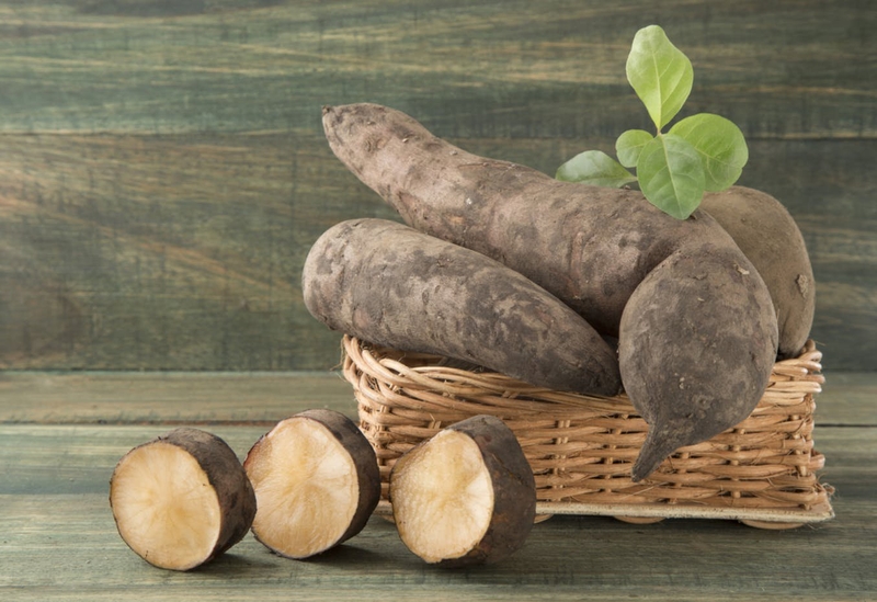 Sâm đất cung cấp cho cơ thể hàm lượng dinh dưỡng cao