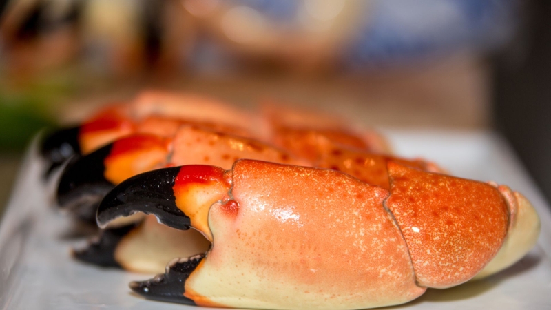 Cua đá biển có ăn được không? Những lưu ý khi ăn cua biển 2