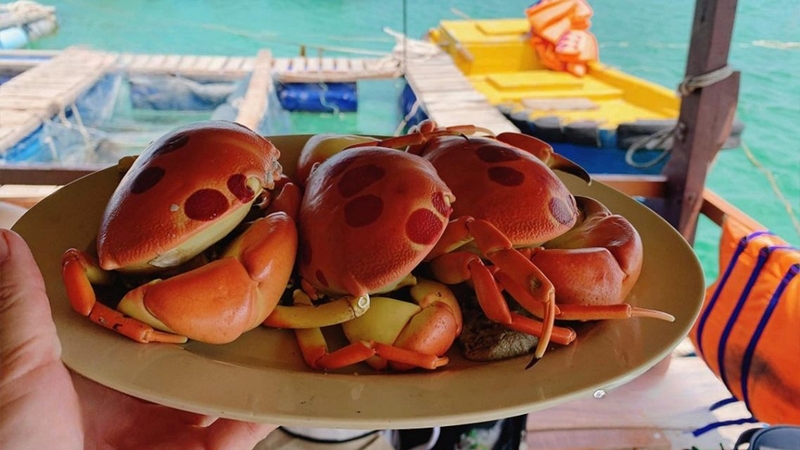 Cua mặt trăng: Giá trị dinh dưỡng và lợi ích sức khỏe 4