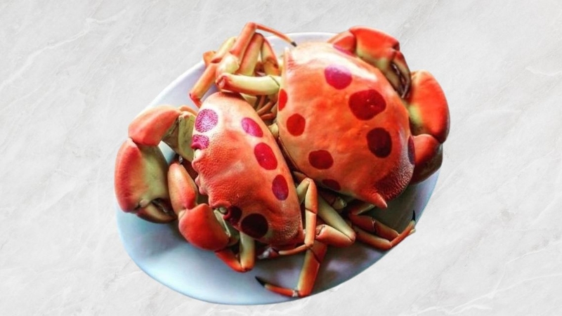 Cua mặt trăng: Giá trị dinh dưỡng và lợi ích sức khỏe 3