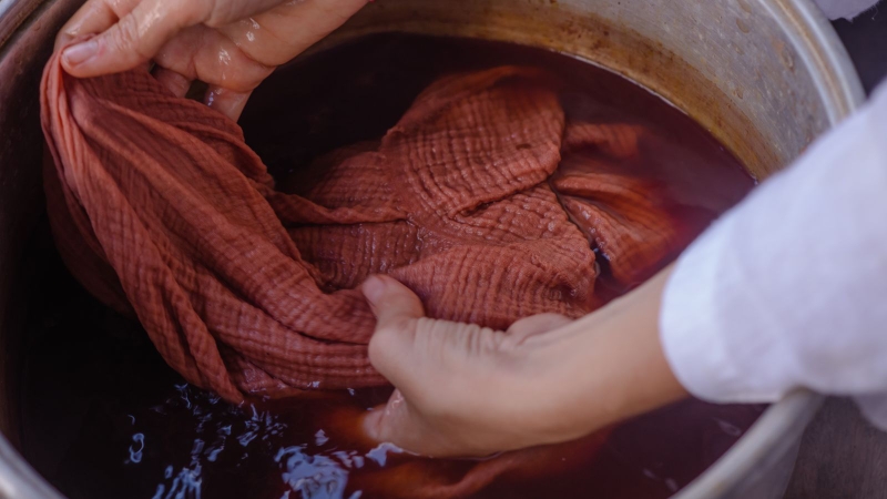 Sắc tố từ cánh hoa được tận dụng để chiết xuất làm màu nhuộm cho các loại vải vóc