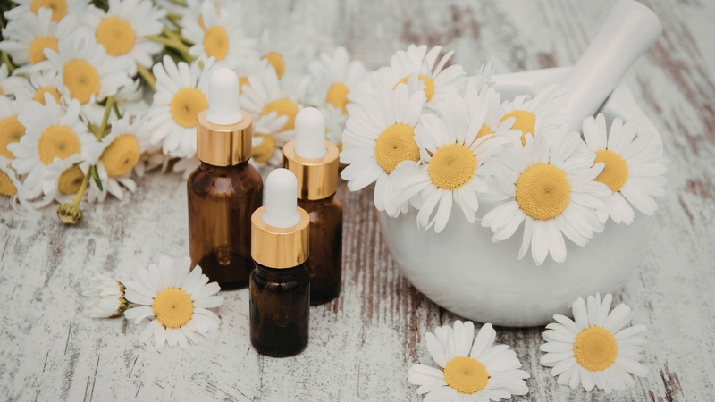 Tinh dầu cúc la mã giúp thư giãn, xông phòng, massage và hỗ trợ làm dịu da