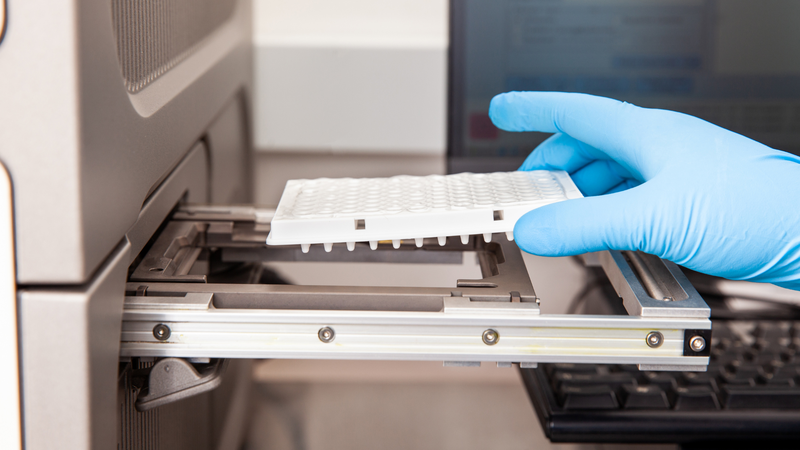 Phân lập virus giúp xác định chủng và theo dõi sự biến đổi virus