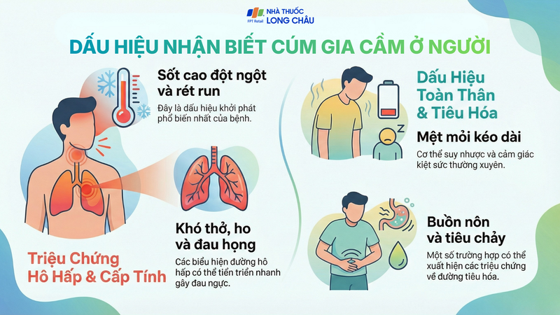Hướng dẫn nhận biết sớm triệu chứng cúm gia cầm H5N1