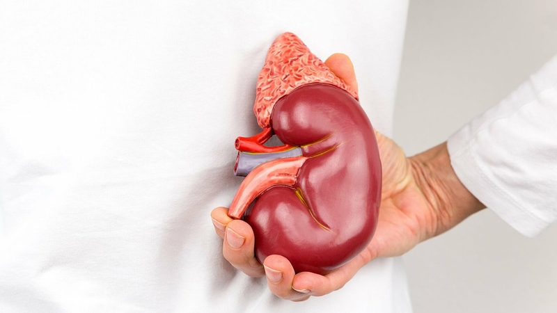 Cùng chuyên gia giải đáp thắc mắc: Mất 1 quả thận có sinh con được không? 2