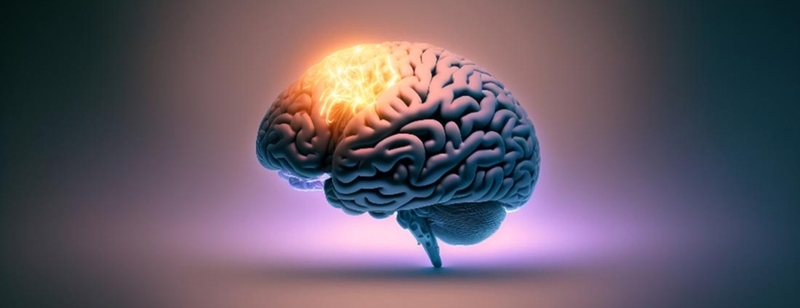 Cùng chuyên gia tìm hiểu về căn bệnh viêm não và viêm màng não 1