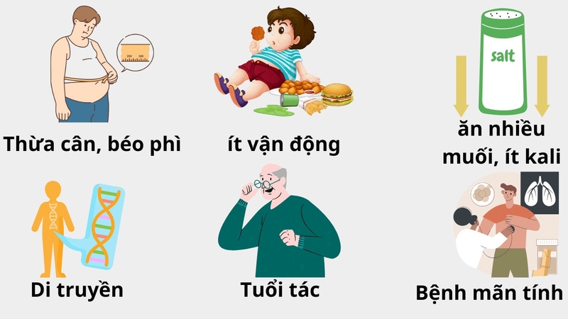 Nguyên nhân bị huyết áp cao 01