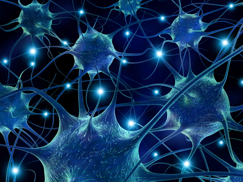 Cùng tìm hiểu về tế bào gốc thần kinh2