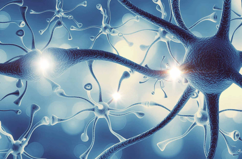 Cùng tìm hiểu về tế bào gốc thần kinh3