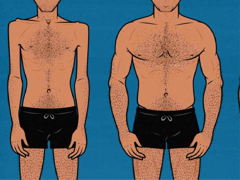 Cutting gym là gì? Và cách thực hiện cutting gym