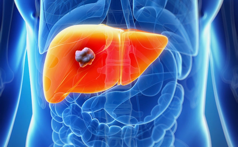 Da bị vàng là thiếu chất gì - Đọc ngay để biết! 2