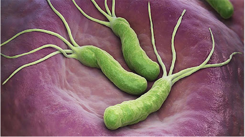 Những lưu ý khi bị dị ứng thuốc dạ dày 3