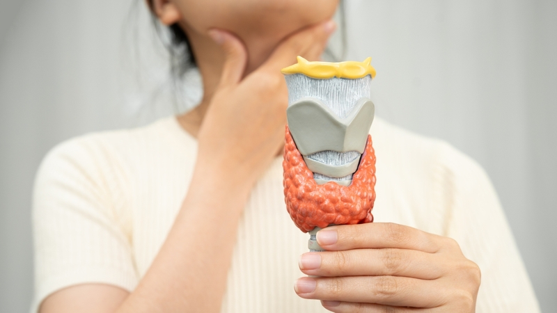 Trong các bệnh lý làm tăng chuyển hóa như cường giáp, cơ thể hoạt động ở mức cao hơn bình thường, dẫn đến tăng sinh nhiệt