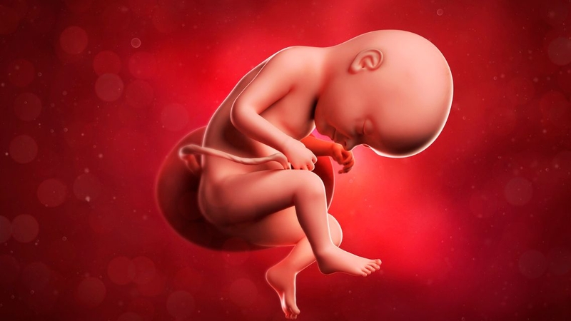 Đa ối ảnh hưởng gì đến thai nhi? Cần làm gì để hạn chế ảnh hưởng 1