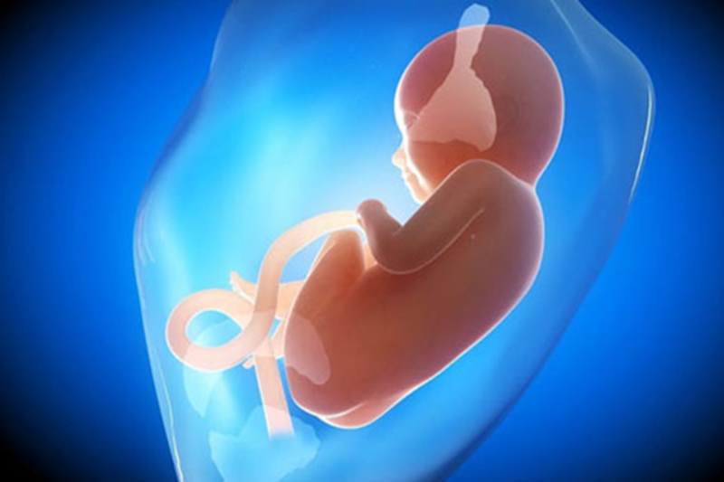 Đa ối khi mang thai có nguy hiểm không? 1