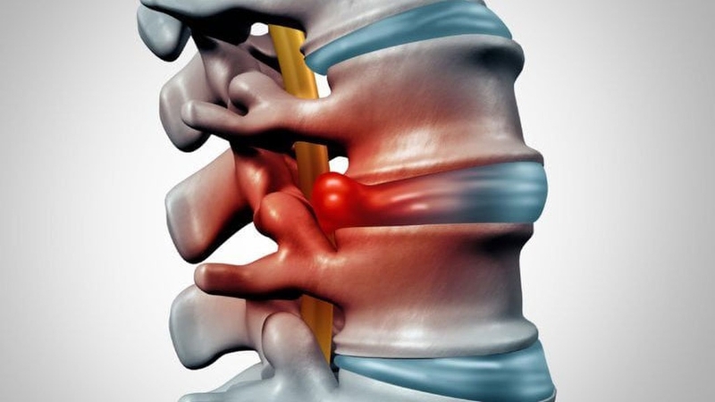 Đặc điểm của các đốt sống ngực và chức năng 4