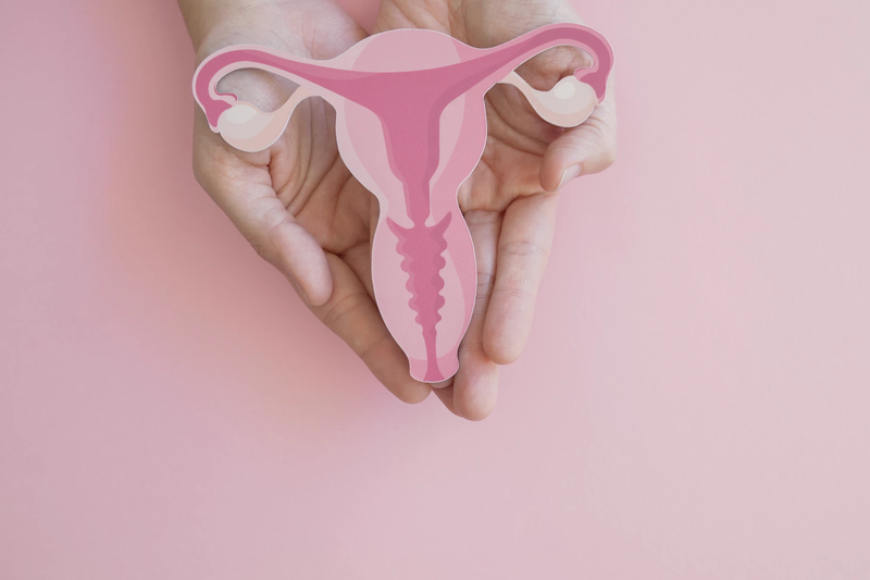 Đặc điểm giải phẫu buồng trứng và một số bệnh lý liên quan 2