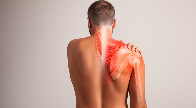 Đặc điểm giải phẫu xương vai: Vị trí, cấu tạo và chức năng