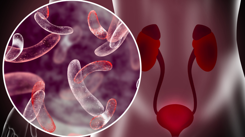 Đái dầm: Nguyên nhân, triệu chứng và điều trị 2