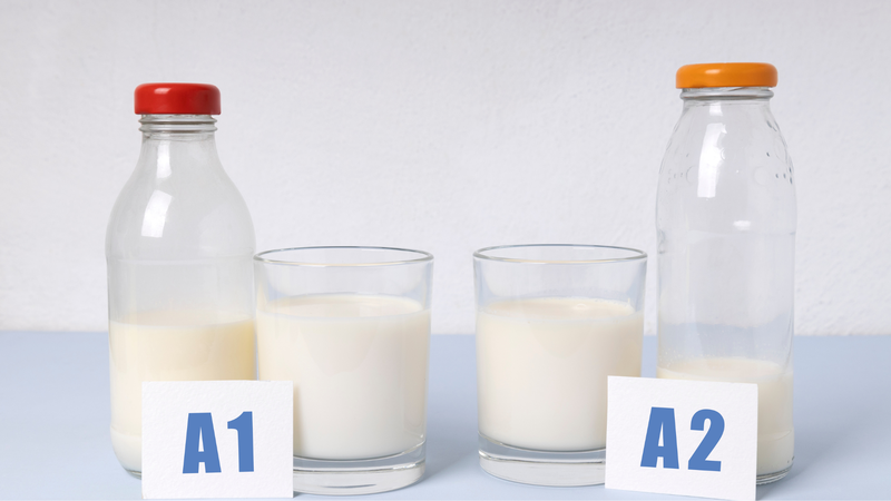 Đạm a2 là gì? Sữa đạm A2 có tốt không? 1