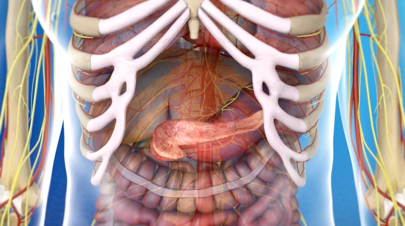 Đám rối thân tạng là gì? Quy trình thực hiện diệt đám rối thân tạng 1
