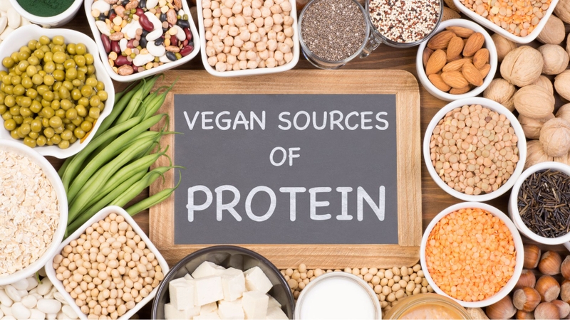 Đạm thực vật là nguồn protein có nguồn gốc từ thực vật