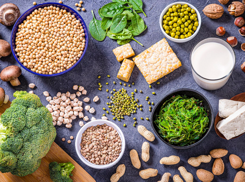 Đạm thực vật: Nguồn cung cấp dưỡng chất có lợi cho sức khỏe 1