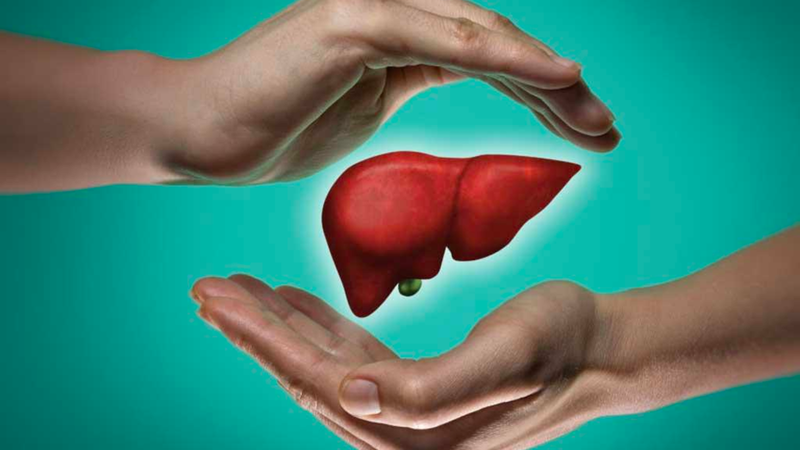 Vị thuốc đạm trúc diệp: Một thảo dược được sử dụng phổ biến 4