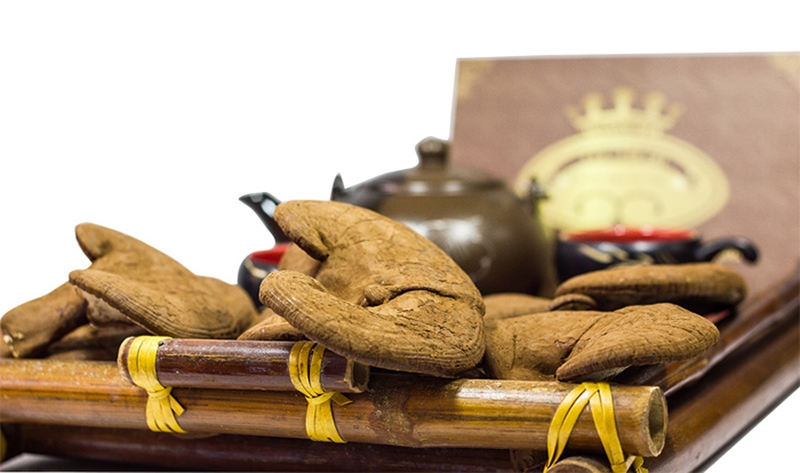 tai-sao-nam-linh-chi-dang-va-vi-dang-cua-nam-linh-chi-co-tac-dung-gi