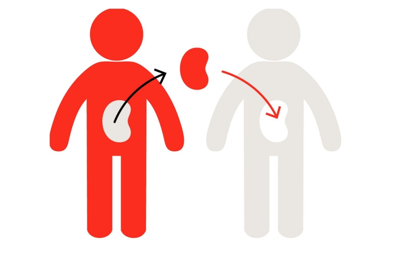 đăng ký hiến tạng 3