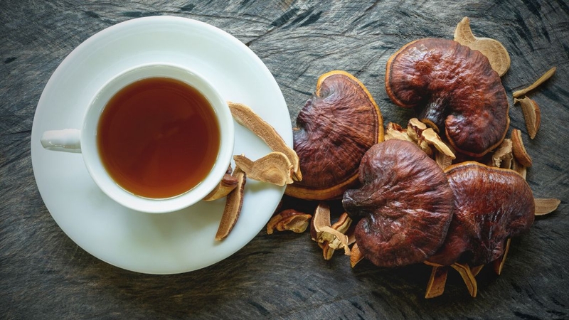 Không nên tự ý kết hợp nấm linh chi với thuốc tây nếu chưa hiểu rõ nguy cơ tương tác