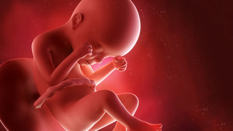 Đánh giá sức khỏe thai nhi: Các phương pháp kiểm tra và chỉ số quan trọng 1