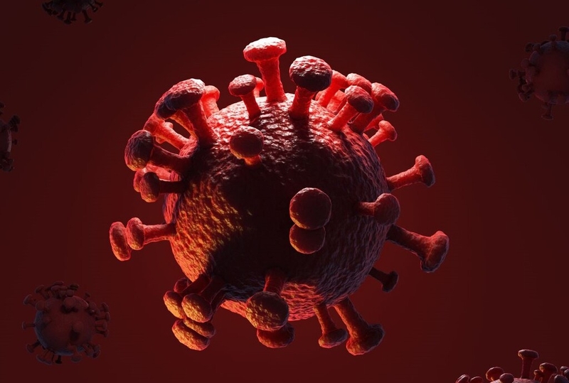 Danh sách các bệnh truyền nhiễm thuộc bệnh truyền nhiễm nhóm C 1