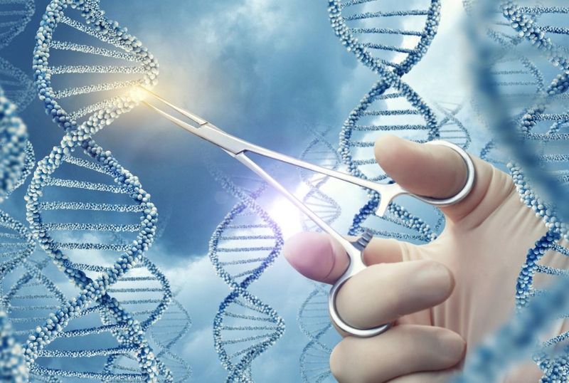 Danh sách các loại xét nghiệm di truyền quan trọng mọi người cần biết 2