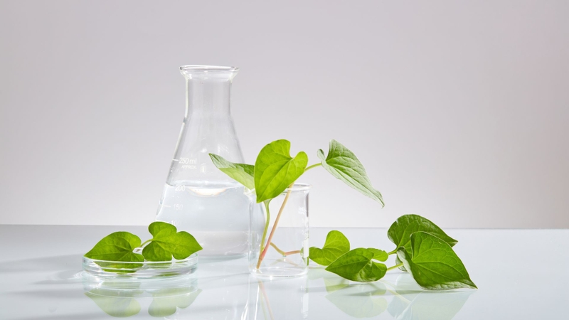 Danh sách các thực phẩm giàu vitamin C cho gia đình bạn3