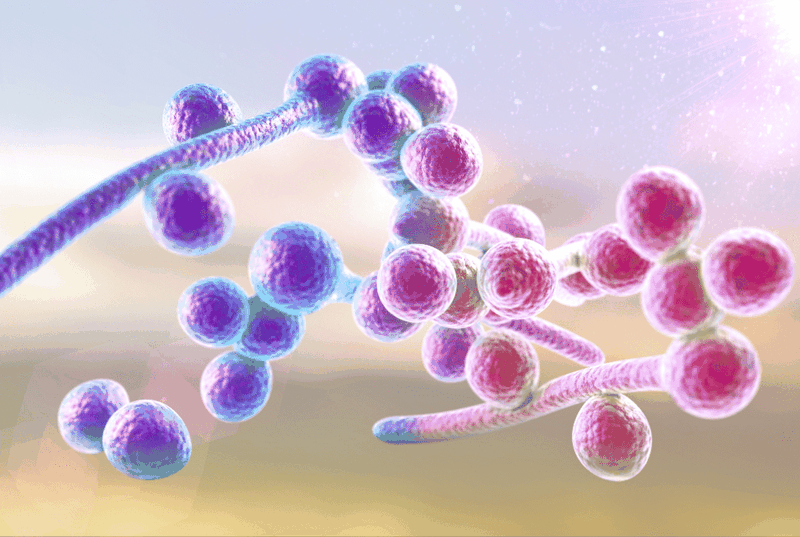 Danh sách những bệnh ở lưỡi nguy hiểm mà bạn cần biết