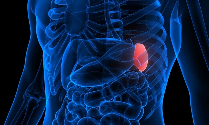 Dập lá lách cấp độ 3: Nguyên nhân, cách điều trị và thời gian phục hồi 1