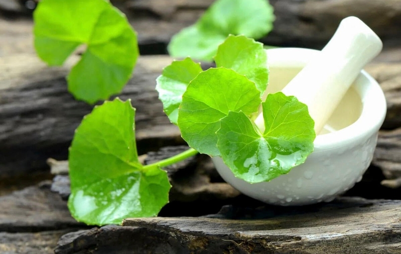 5 cách làm mặt nạ rau má đơn giản tại nhà mà chị em nên biết 2