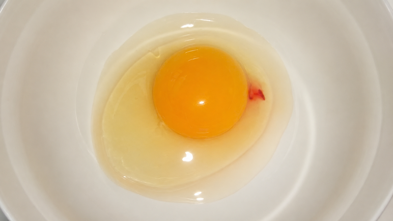 Đốm máu trong trứng thường hình thành khi trứng còn trong cơ thể gà
