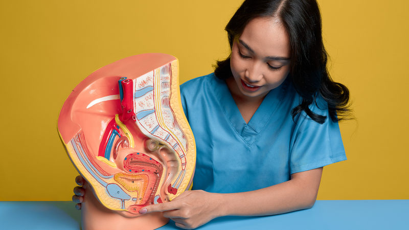 Việc đặt ống thông tiểu còn giúp hỗ trợ điều trị một số bệnh lý tiết niệu