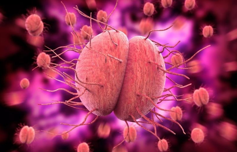 Đau âm đạo là dấu hiệu của bệnh gì? Có nguy hiểm không? 3