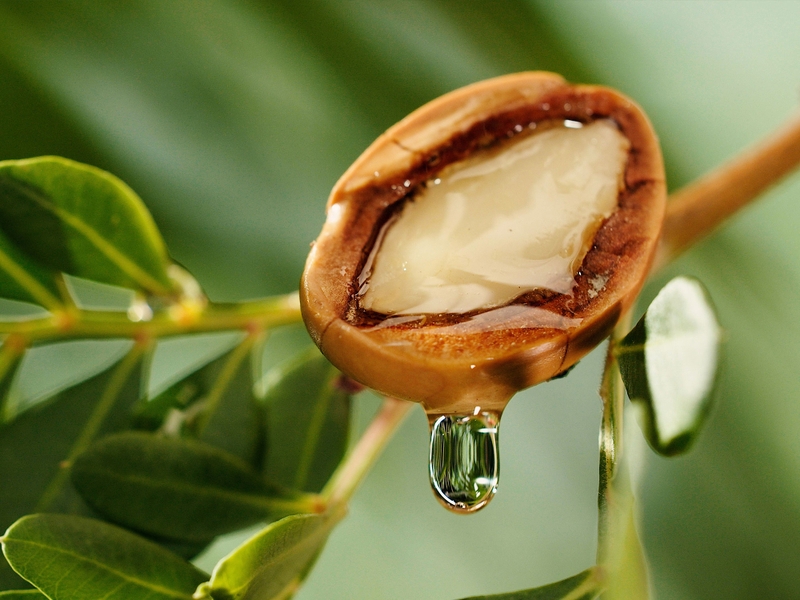 Dầu Argan là gì? Lợi ích của dầu Argan đối với sức khỏe và làm đẹp 1